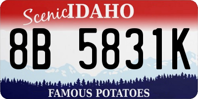 ID license plate 8B5831K