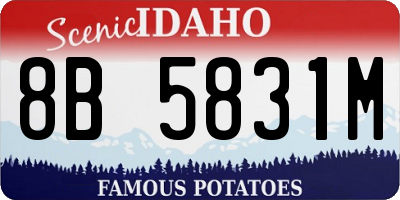 ID license plate 8B5831M