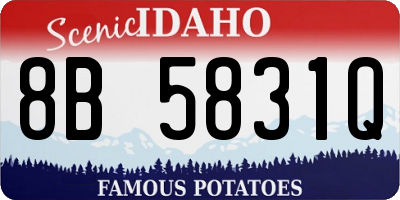 ID license plate 8B5831Q