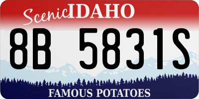 ID license plate 8B5831S