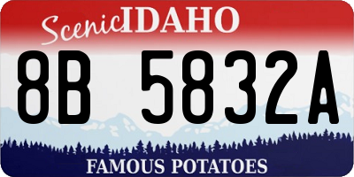 ID license plate 8B5832A