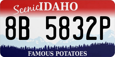ID license plate 8B5832P