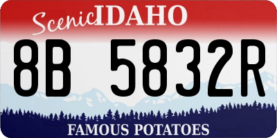 ID license plate 8B5832R