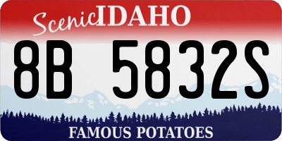 ID license plate 8B5832S