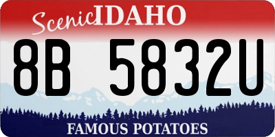 ID license plate 8B5832U