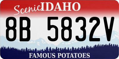 ID license plate 8B5832V