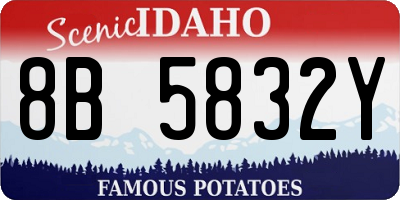 ID license plate 8B5832Y