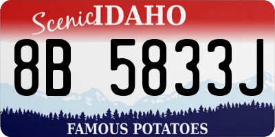 ID license plate 8B5833J