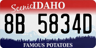 ID license plate 8B5834D