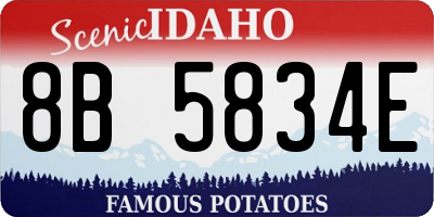 ID license plate 8B5834E