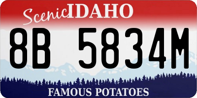 ID license plate 8B5834M