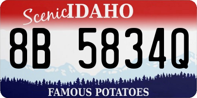 ID license plate 8B5834Q
