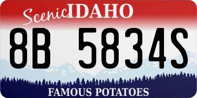 ID license plate 8B5834S