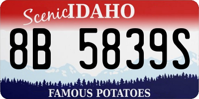 ID license plate 8B5839S