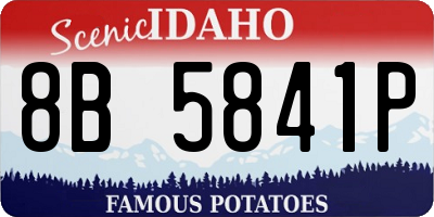 ID license plate 8B5841P