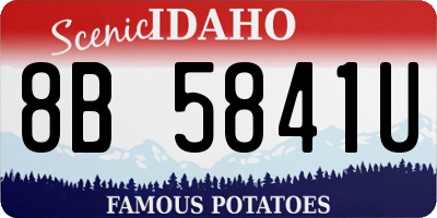 ID license plate 8B5841U