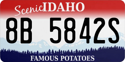 ID license plate 8B5842S