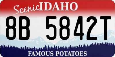 ID license plate 8B5842T