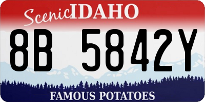 ID license plate 8B5842Y