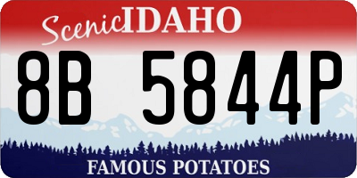 ID license plate 8B5844P