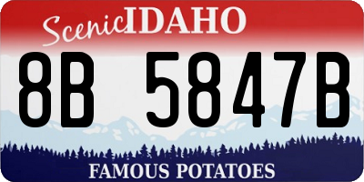 ID license plate 8B5847B
