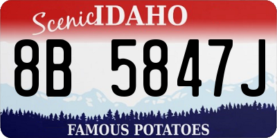 ID license plate 8B5847J
