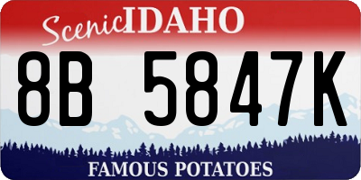 ID license plate 8B5847K
