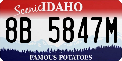 ID license plate 8B5847M