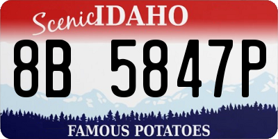 ID license plate 8B5847P