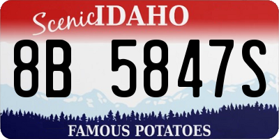 ID license plate 8B5847S