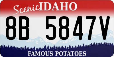 ID license plate 8B5847V