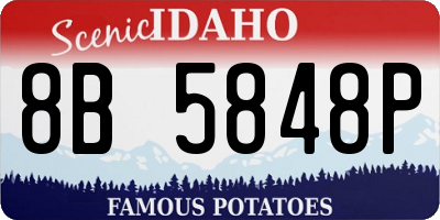 ID license plate 8B5848P