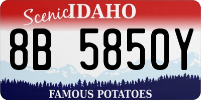ID license plate 8B5850Y