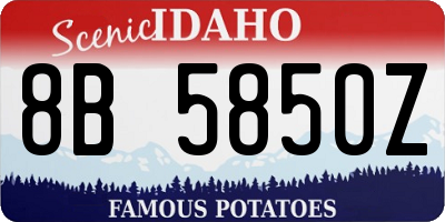 ID license plate 8B5850Z
