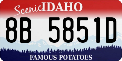 ID license plate 8B5851D