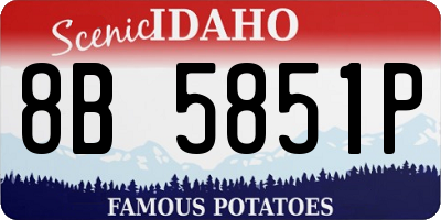 ID license plate 8B5851P