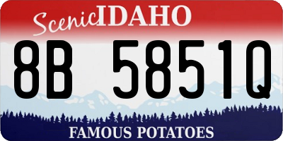 ID license plate 8B5851Q