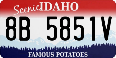 ID license plate 8B5851V