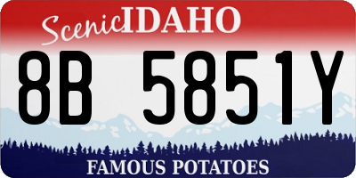 ID license plate 8B5851Y
