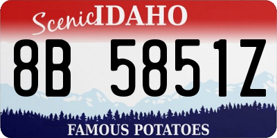 ID license plate 8B5851Z