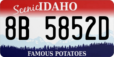 ID license plate 8B5852D