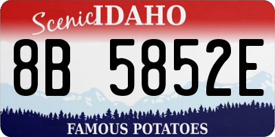 ID license plate 8B5852E