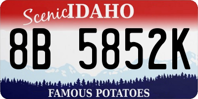 ID license plate 8B5852K