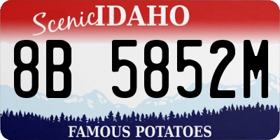 ID license plate 8B5852M