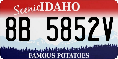 ID license plate 8B5852V