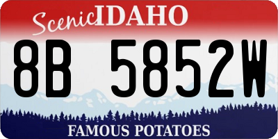 ID license plate 8B5852W