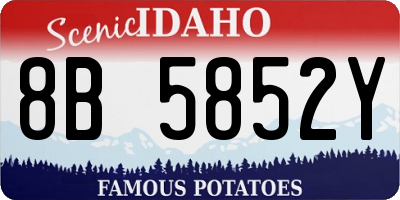ID license plate 8B5852Y