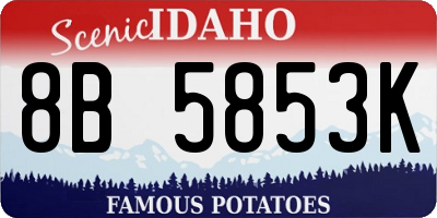 ID license plate 8B5853K