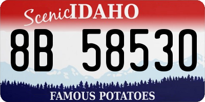 ID license plate 8B5853O