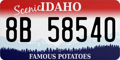ID license plate 8B5854O